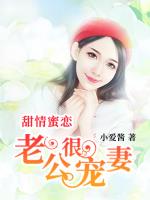 甜情蜜恋：老公很宠妻