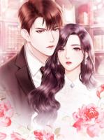 我的老婆是极品