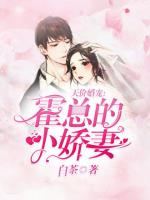 天价宠妻：霍总的小娇妻