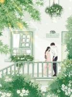 农婿无双